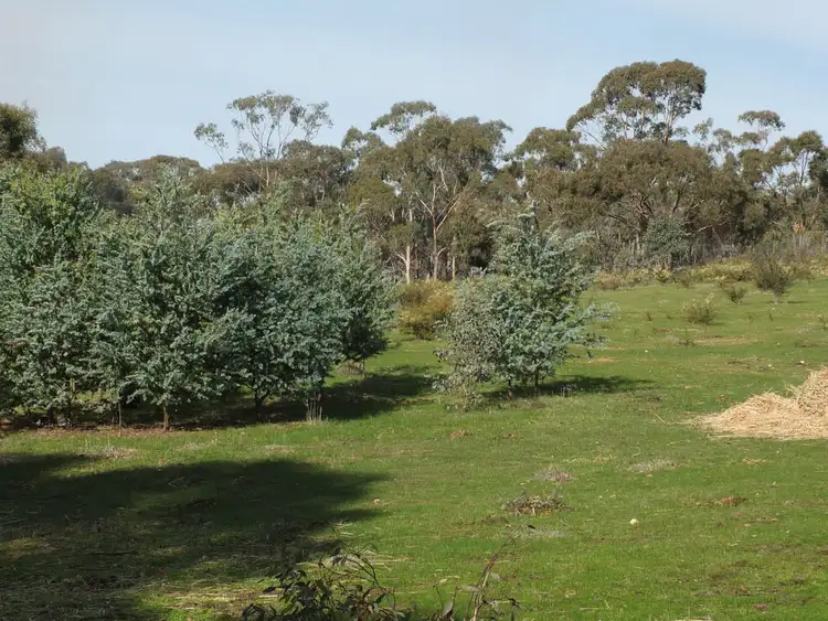 Sixth view of Homely rural property listing, 71 North Street, Avoca VIC 3467