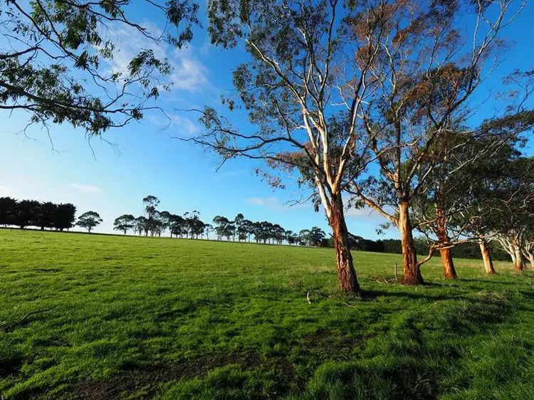 Fifth view of Homely rural property listing, Lot 1 Princes Highway, Camperdown VIC 3260