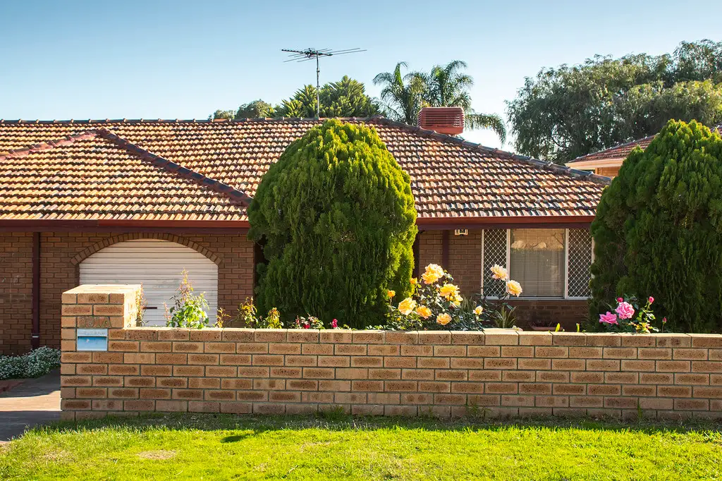 Main view of Homely house listing, 391A Albert Street, Balcatta WA 6021