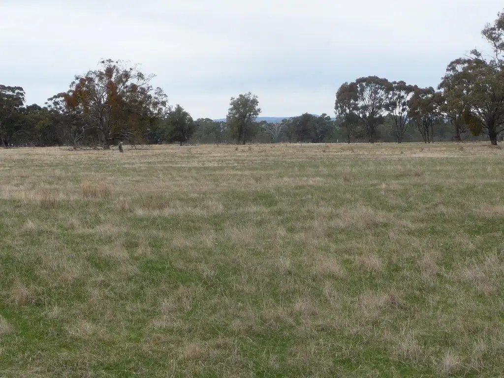 Main view of Homely rural property listing, 1012 Horsham-Laharum Road, Horsham VIC 3400