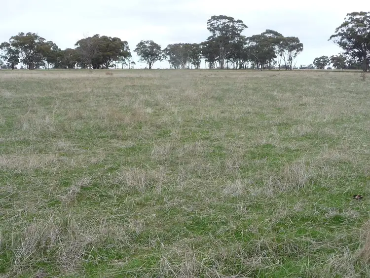 Fourth view of Homely rural property listing, 1012 Horsham-Laharum Road, Horsham VIC 3400