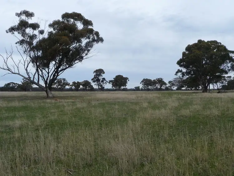 Fifth view of Homely rural property listing, 1012 Horsham-Laharum Road, Horsham VIC 3400