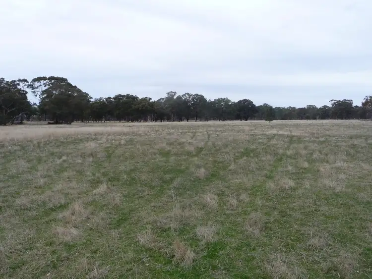 Sixth view of Homely rural property listing, 1012 Horsham-Laharum Road, Horsham VIC 3400