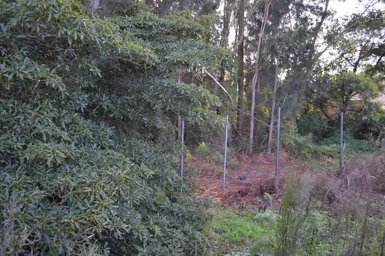 Second view of Homely land listing, 14 Sanctuary Point Road, Sanctuary Point NSW 2540