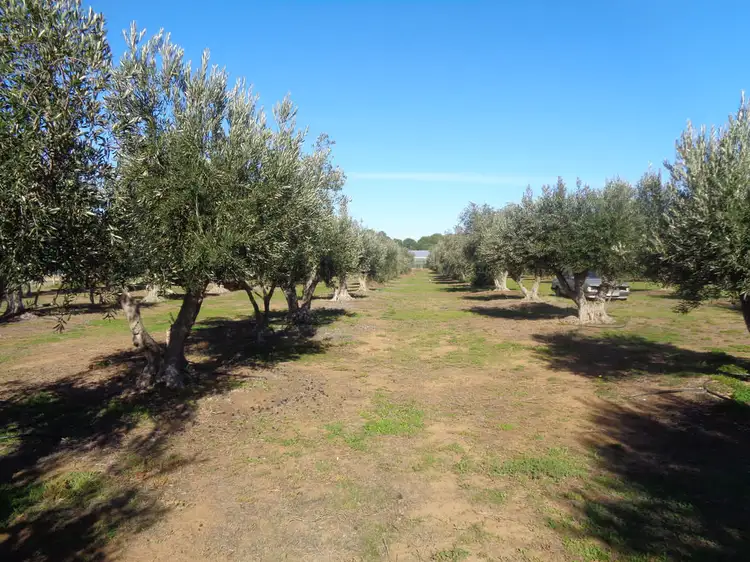 Third view of Homely house listing, 10 ARTESIAN ROAD, Two Wells SA 5501