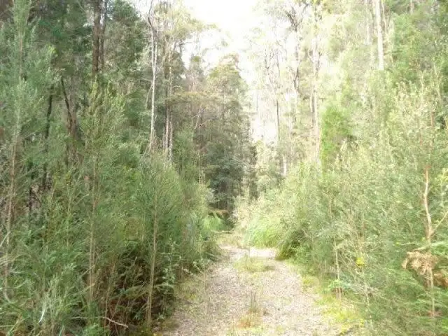 Main view of Homely land listing, Lot 2 Trafford Street, Strahan TAS 7468