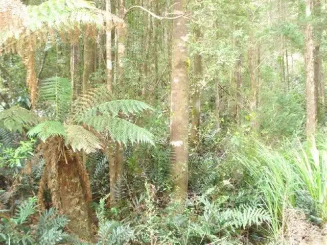 Third view of Homely land listing, Lot 2 Trafford Street, Strahan TAS 7468