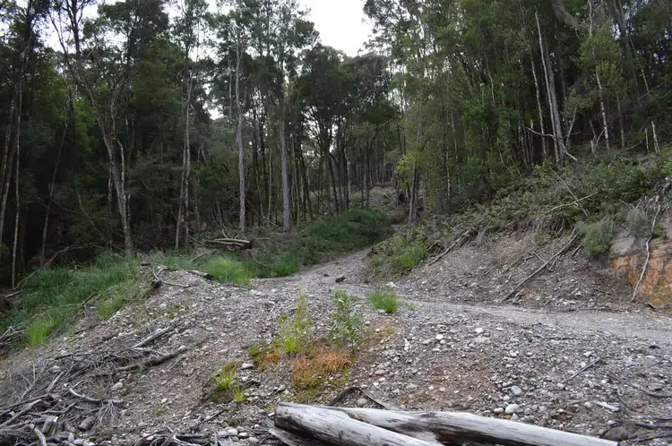 Fourth view of Homely land listing, Lot 2 Trafford Street, Strahan TAS 7468