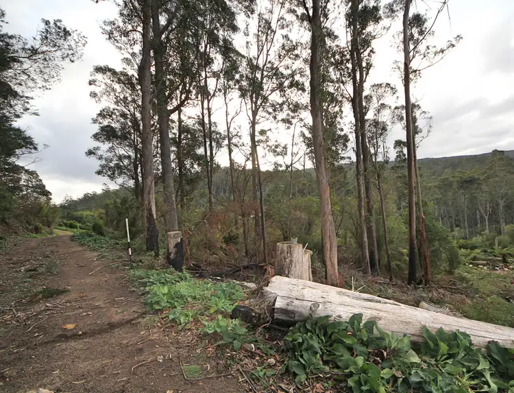 Second view of Homely land listing, Lot 9 Lottah Road, Lottah TAS 7216