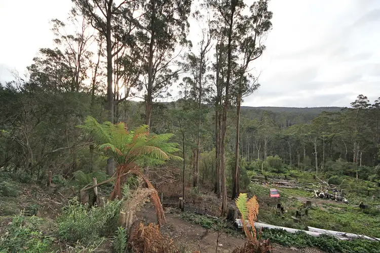 Third view of Homely land listing, Lot 9 Lottah Road, Lottah TAS 7216