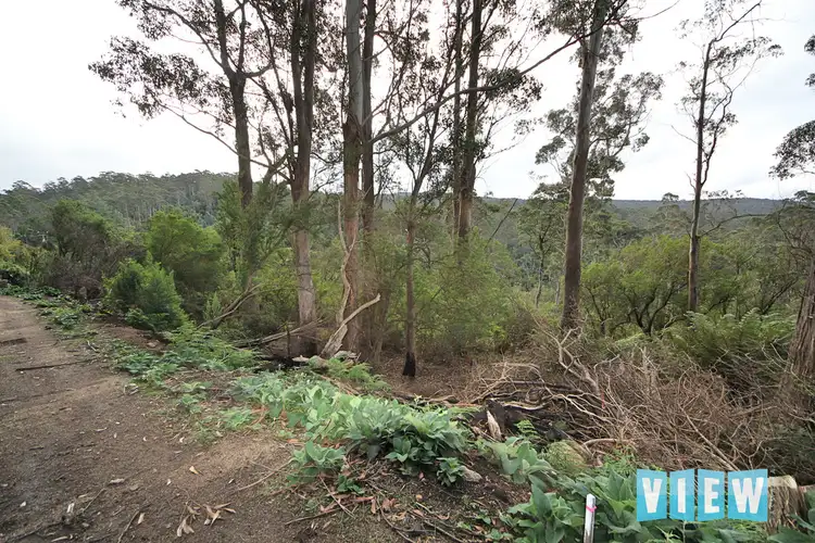 Sixth view of Homely land listing, Lot 9 Lottah Road, Lottah TAS 7216