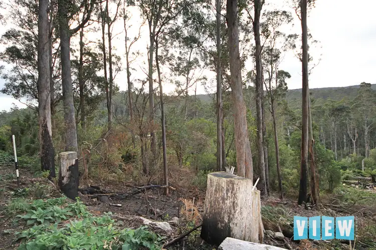 Seventh view of Homely land listing, Lot 9 Lottah Road, Lottah TAS 7216