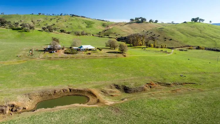 Third view of Homely rural property listing, 74C Back Arragons Road, Adelong NSW 2729