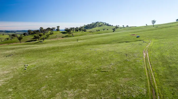 Seventh view of Homely rural property listing, 74C Back Arragons Road, Adelong NSW 2729