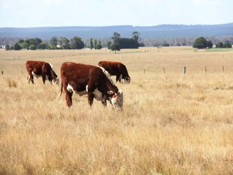 Second view of Homely rural property listing, 160 Hopkins Road, Fulham VIC 3851