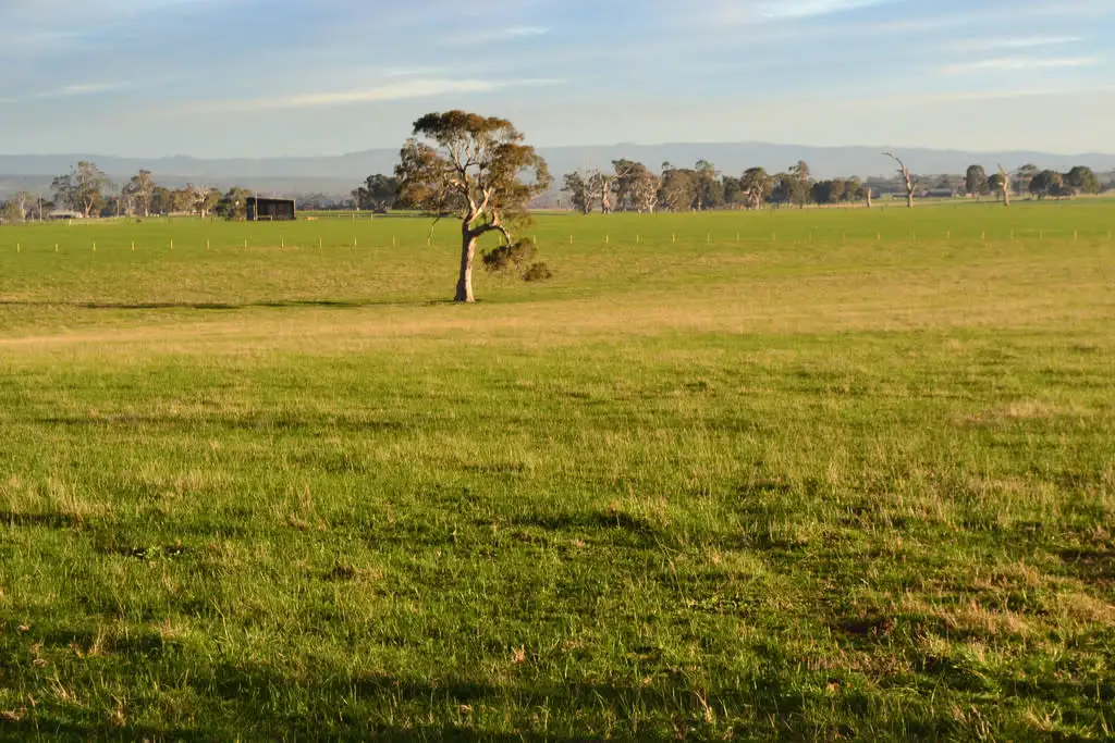 Main view of Homely rural property listing, N/A FLynns Creek Rd, Flynn VIC 3844