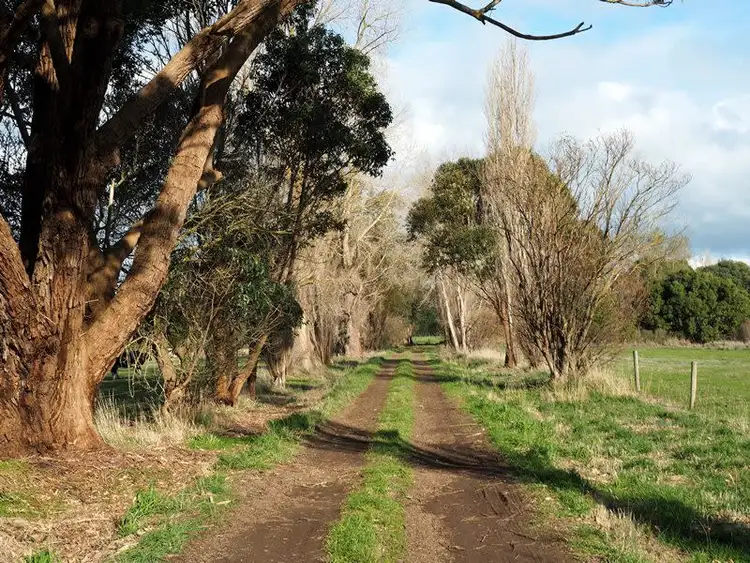 Fifth view of Homely rural property listing, 84 Rigbys Road, Ecklin South VIC 3265