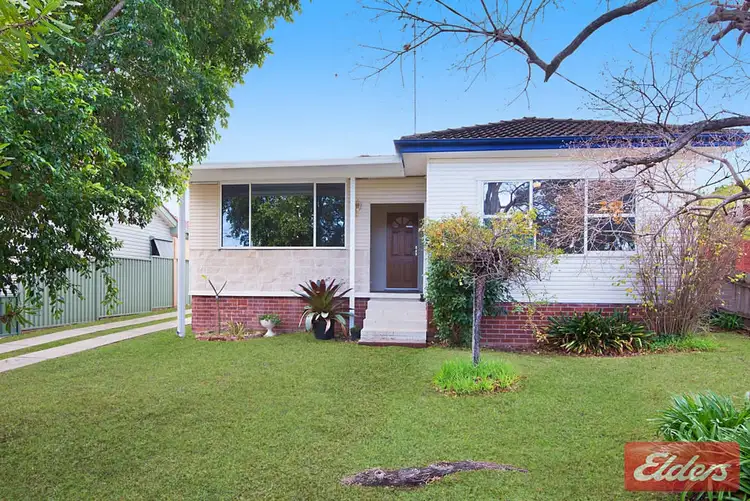 Main view of Homely house listing, 19 Apple Street, Constitution Hill NSW 2145