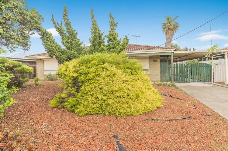 Main view of Homely house listing, 50 Willmott Drive, Cooloongup WA 6168