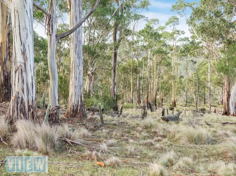 Seventh view of Homely rural property listing, 5089 Tasman Highway, Runnymede TAS 7190