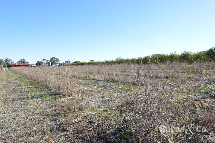 Fifth view of Homely rural property listing, Lot 2 Hewett Road, Colignan VIC 3494