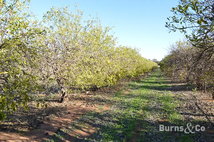 Seventh view of Homely rural property listing, Lot 2 Hewett Road, Colignan VIC 3494