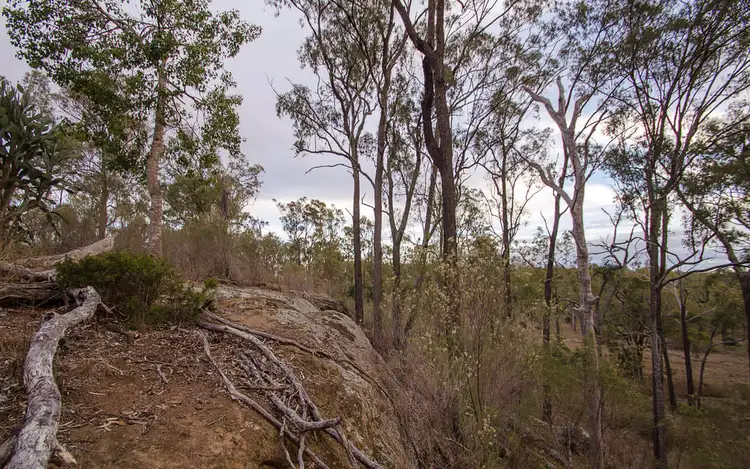 Seventh view of Homely land listing, Lot 67 Mountain Rd, Bony Mountain QLD 4370