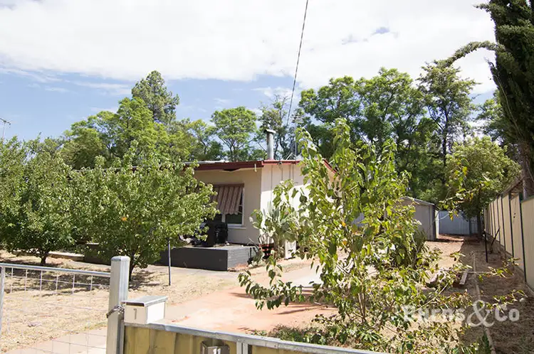 Main view of Homely house listing, 11 Devenport Street, Dareton NSW 2717