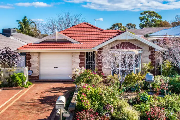 Main view of Homely house listing, 53 Chamberlain Drive, Christie Downs SA 5164