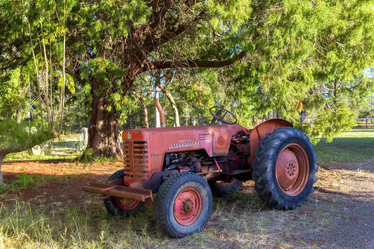 423 Cedar Party Road, Wingham NSW 2429