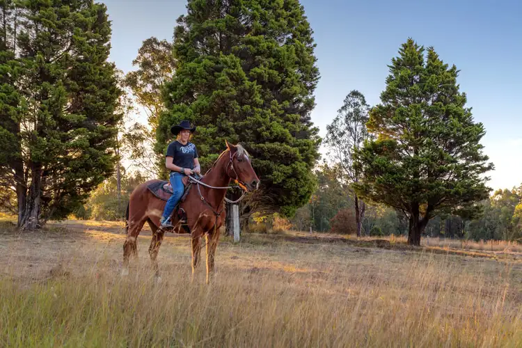Fourth view of Homely rural property listing, 423 Cedar Party Road, Wingham NSW 2429