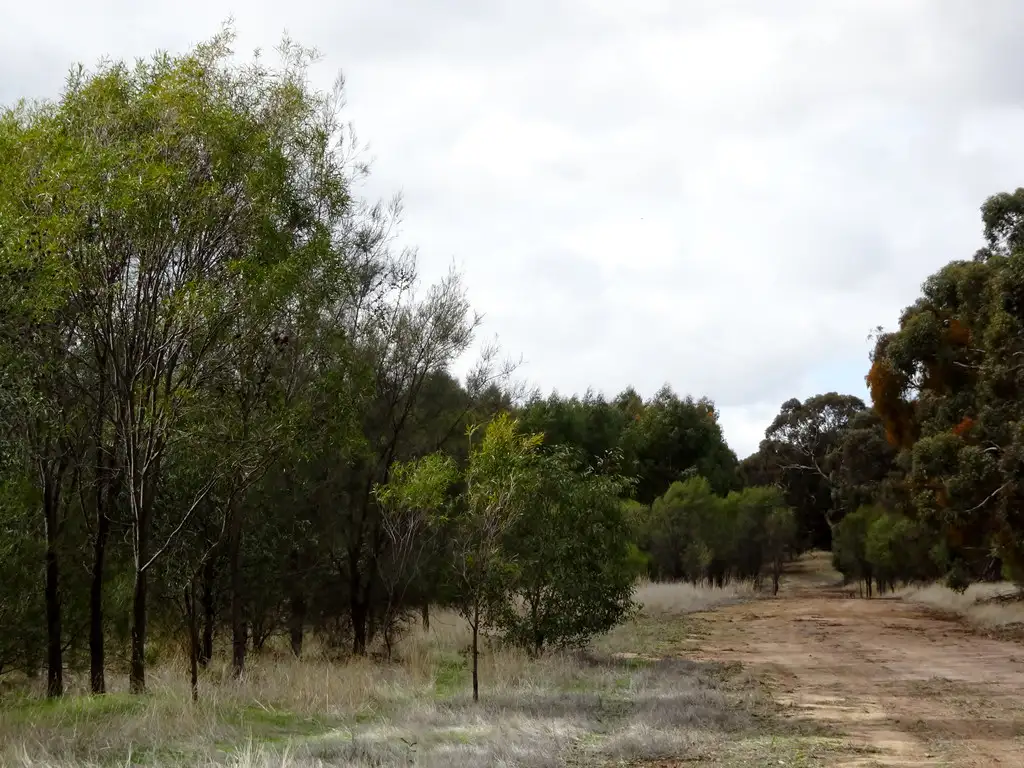 Main view of Homely rural property listing, Lot 7244 Popanyinning West Rd, Popanyinning WA 6309