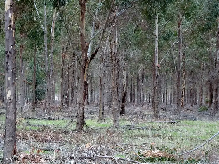 Sixth view of Homely rural property listing, Lot 7244 Popanyinning West Rd, Popanyinning WA 6309