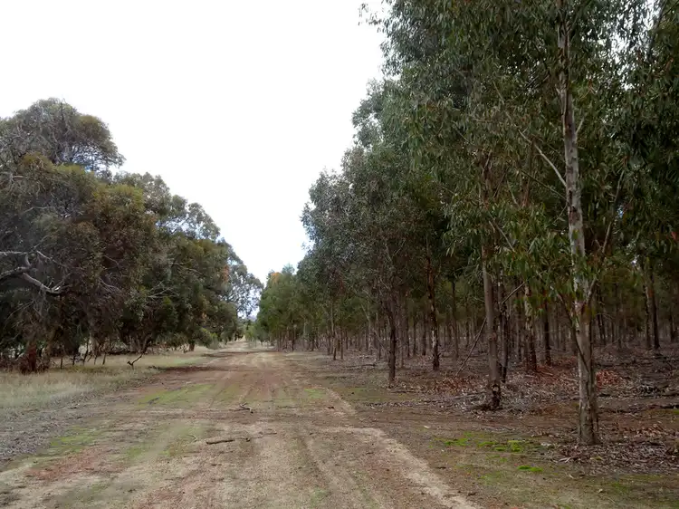 Seventh view of Homely rural property listing, Lot 7244 Popanyinning West Rd, Popanyinning WA 6309