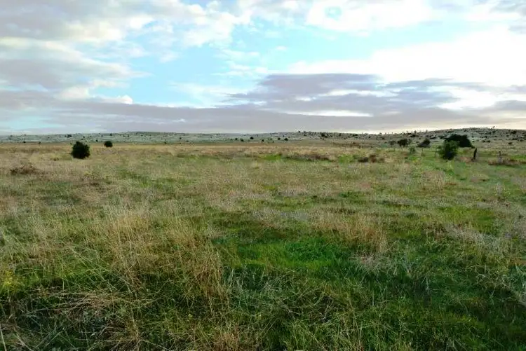 Lot 16 South West Terrace, Sheringa SA 5607
