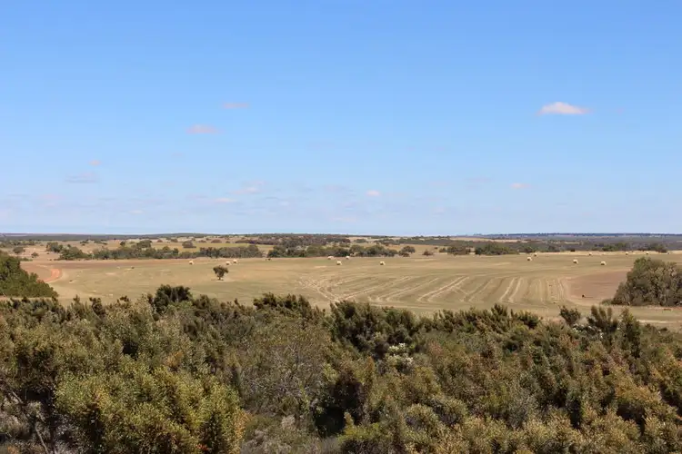 2297 COALARA ROAD, Badgingarra WA 6521