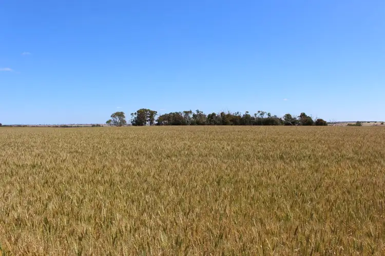 Third view of Homely rural property listing, 2297 COALARA ROAD, Badgingarra WA 6521