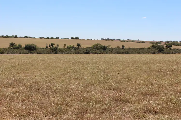 Fourth view of Homely rural property listing, 2297 COALARA ROAD, Badgingarra WA 6521