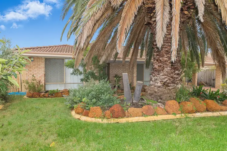 9 Cork Place, Warnbro WA 6169