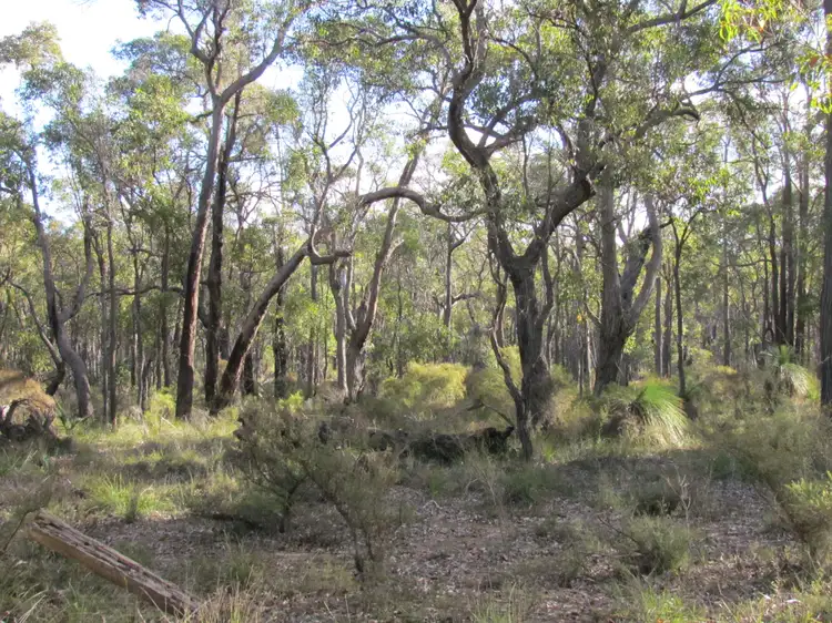 Sixth view of Homely rural property listing, Lot 50 Gibbs Road, Trigwell WA 6244