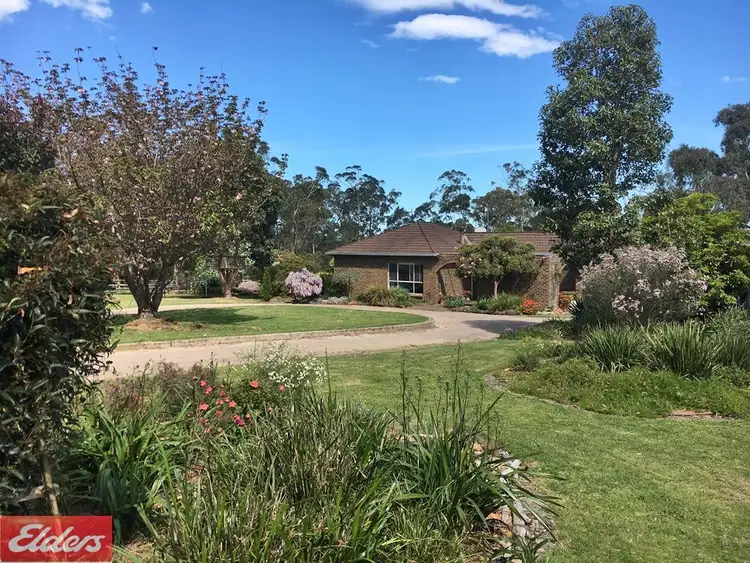 407 Bolgers Road, Devon North VIC 3971