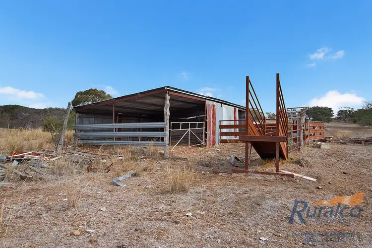 Sixth view of Homely rural property listing, 103 Suttons Road, Currabubula NSW 2342