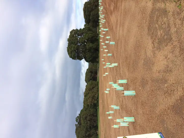 Sixth view of Homely land listing, Lot 206 Burnside Road, Margaret River WA 6285