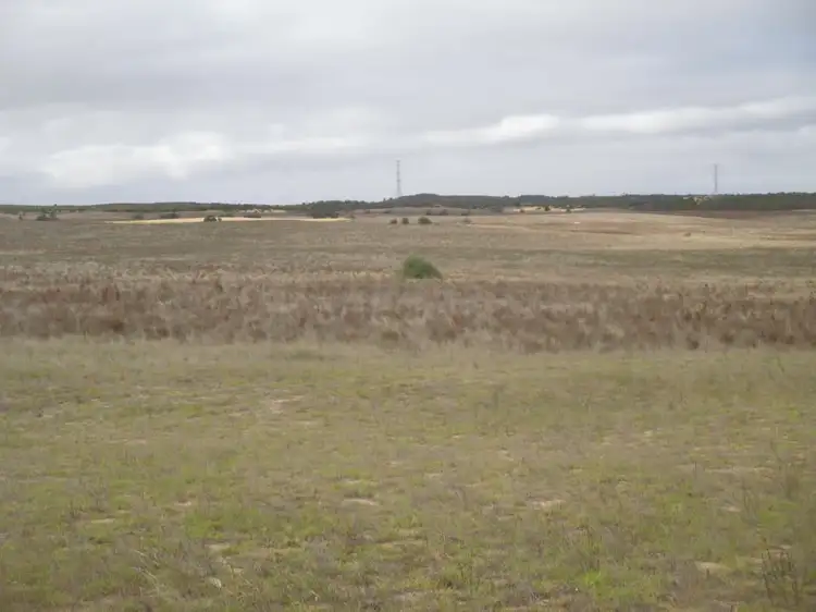 Second view of Homely rural property listing, 629 Westbrook Road, Tailem Bend SA 5260
