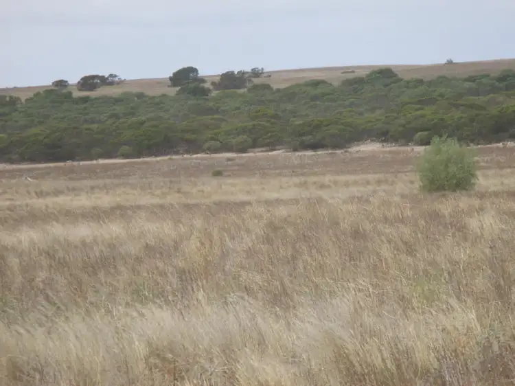 Fourth view of Homely rural property listing, 629 Westbrook Road, Tailem Bend SA 5260