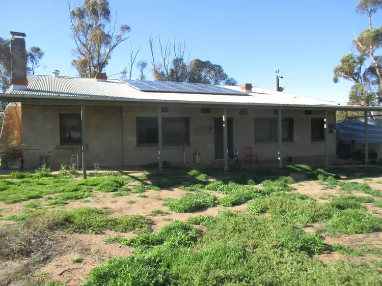 Seventh view of Homely rural property listing, 629 Westbrook Road, Tailem Bend SA 5260