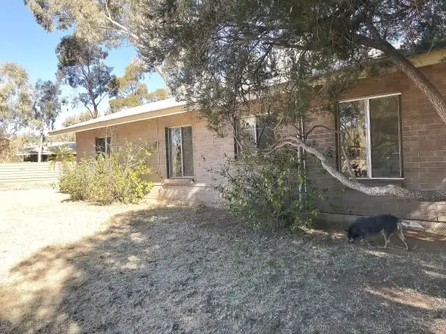 Second view of Homely house listing, 114 Kurrajong Dve, East Side NT 870