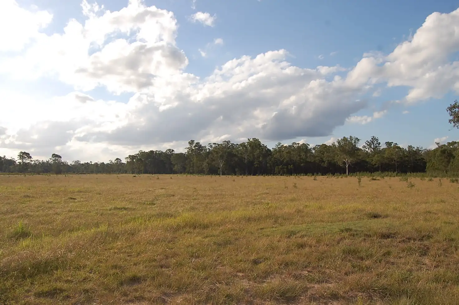 Main view of Homely rural property listing, 245 Crawfords Road, COOMBELL, Coombell NSW 2470