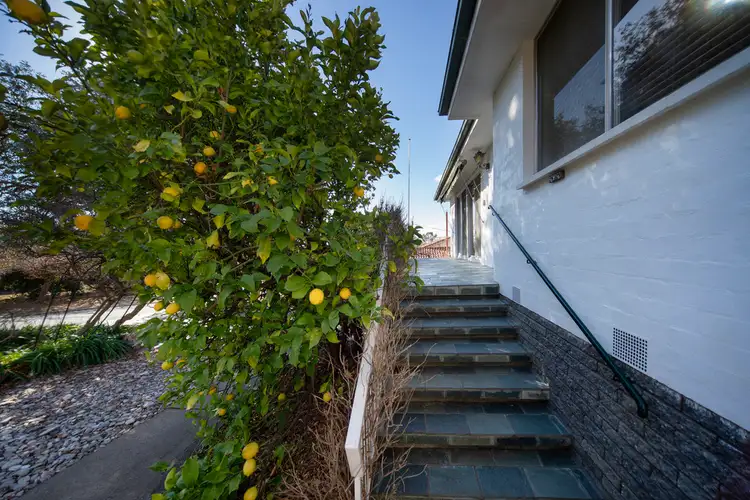 Third view of Homely house listing, 8 Coleman Street, Pearce ACT 2607