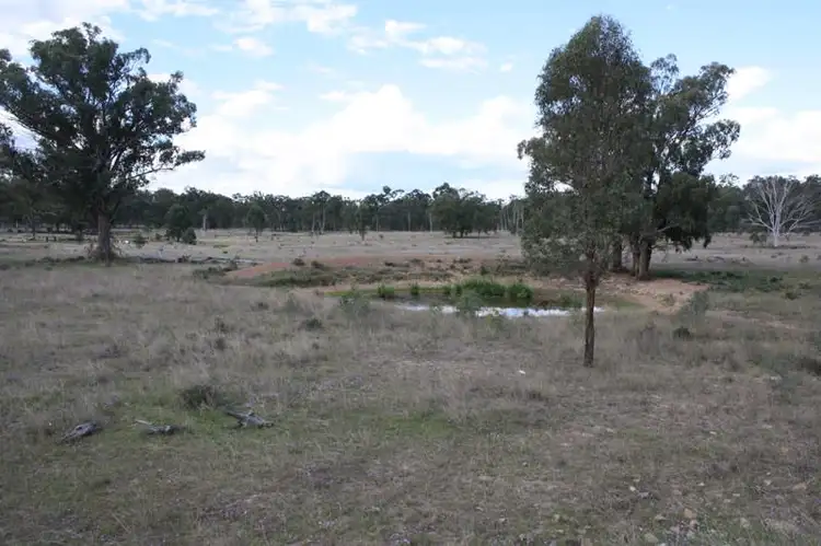 Seventh view of Homely rural property listing, 1440 Leyburn Forestry Road, Thanes Creek QLD 4370